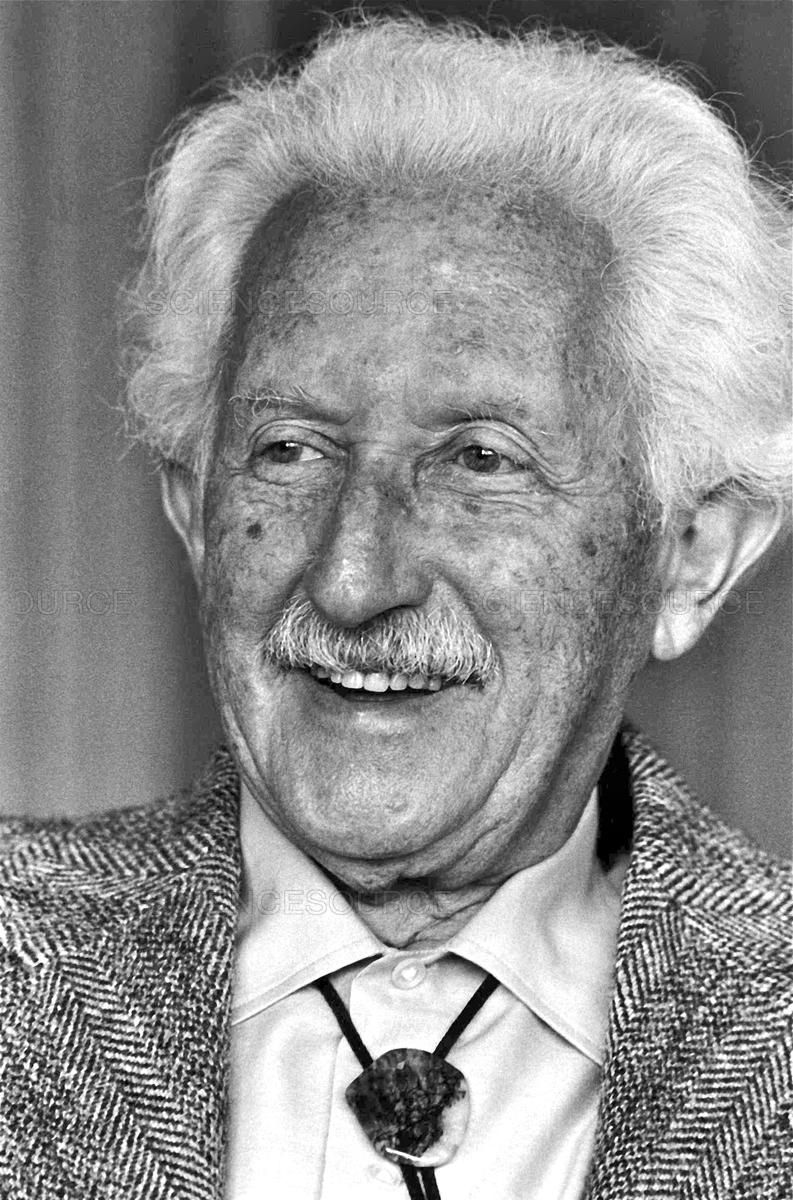 Erik Erkison's Theory