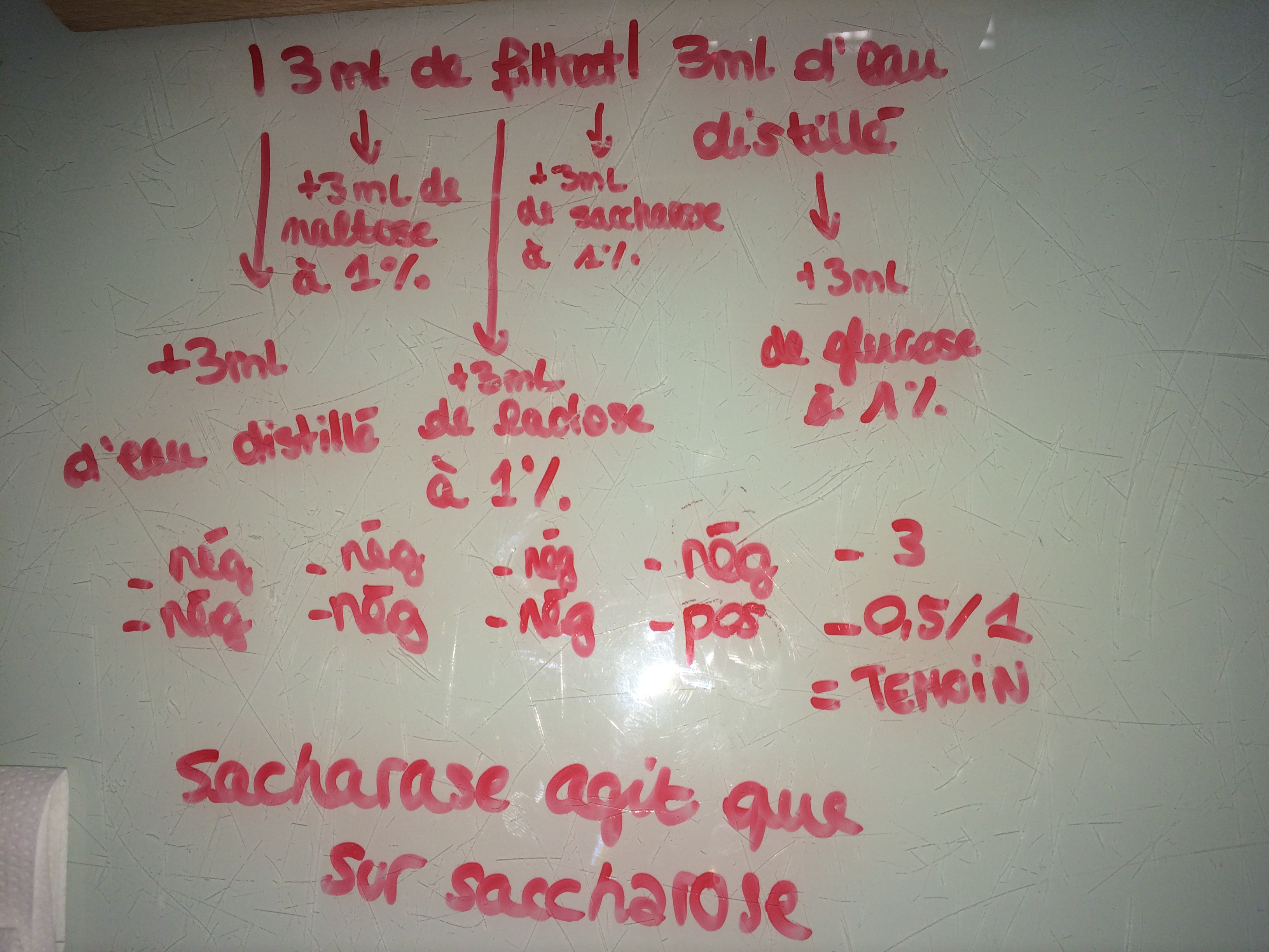 Photo de l'expérience