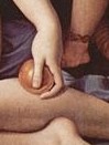 Nella mano di Venere è tenuto il pomo della discordia