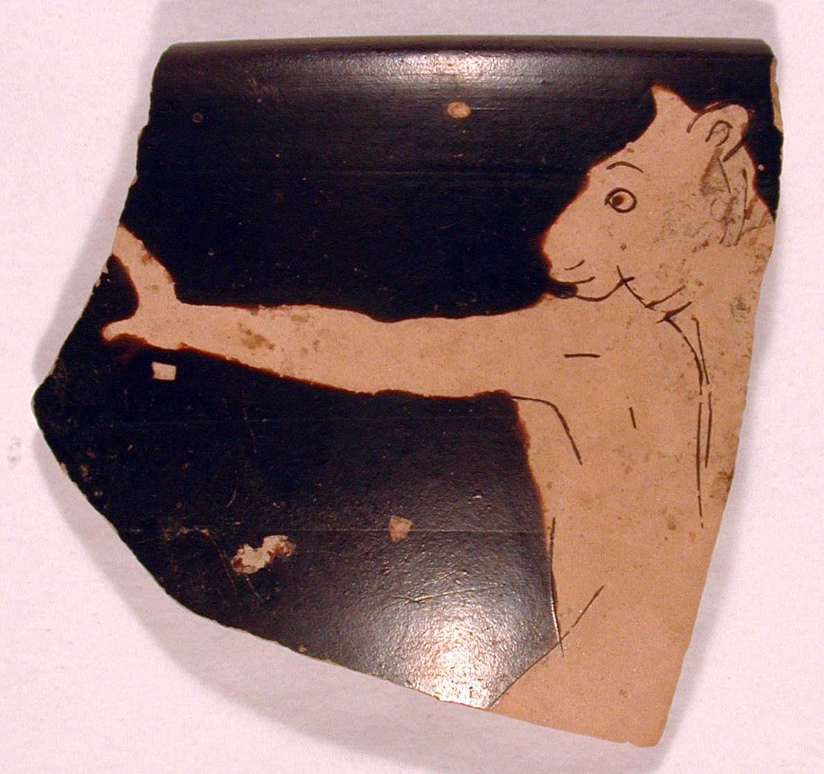 Frammento 22304