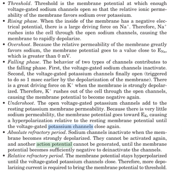 Action potentials (excitability)