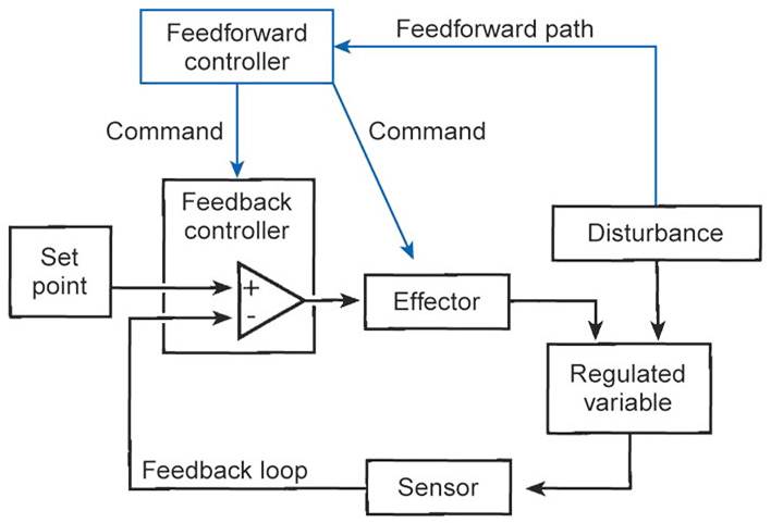 Feedforward Control