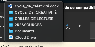 Exemple dans Word