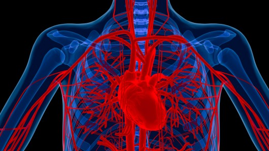Risks to blood/blood vessels