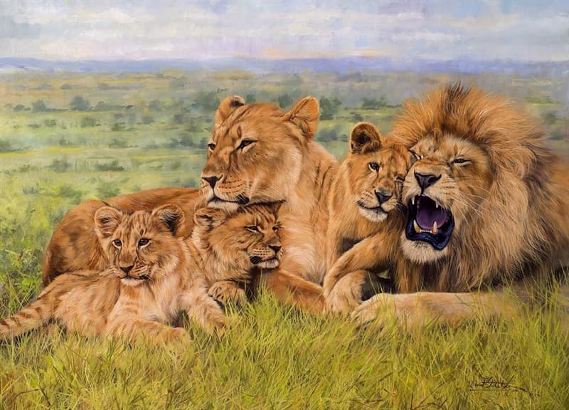 Manada de leones