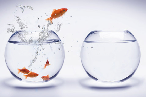 Encouraging Creative Thinking and Problem-Solving