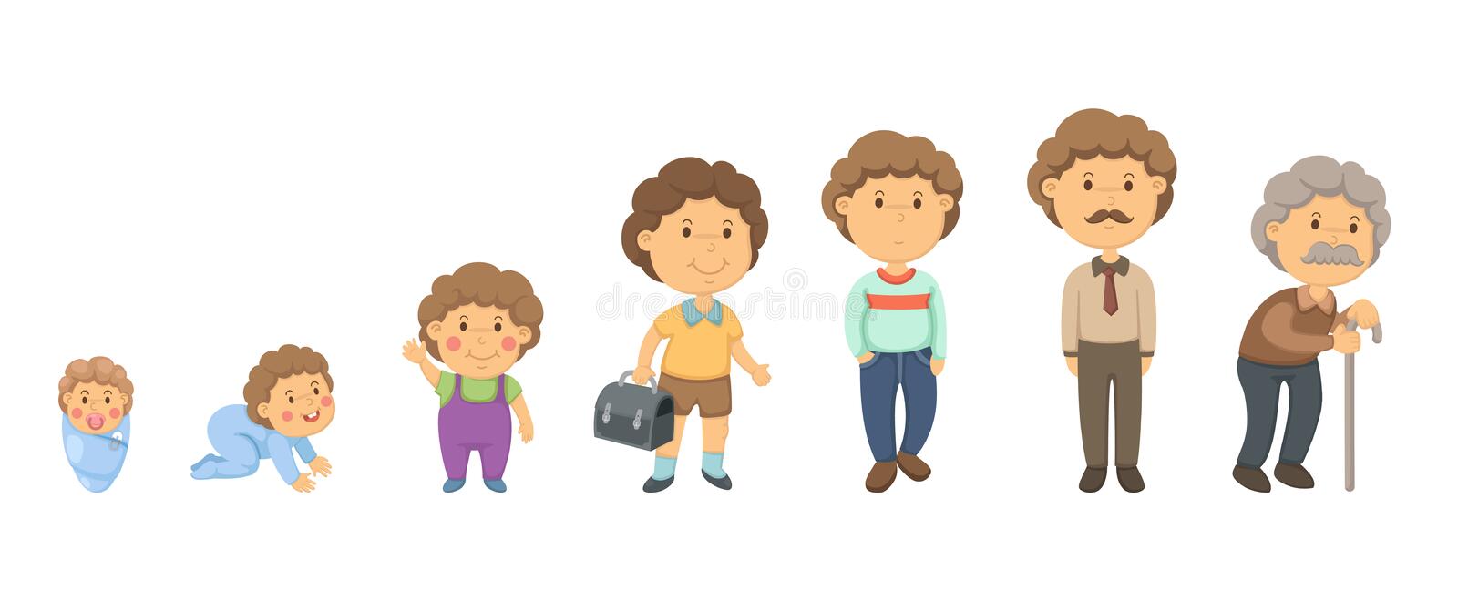 Ciclo de la vida