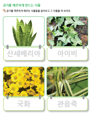 (누리-언어) 공기를 깨끗하게 만드는 식물