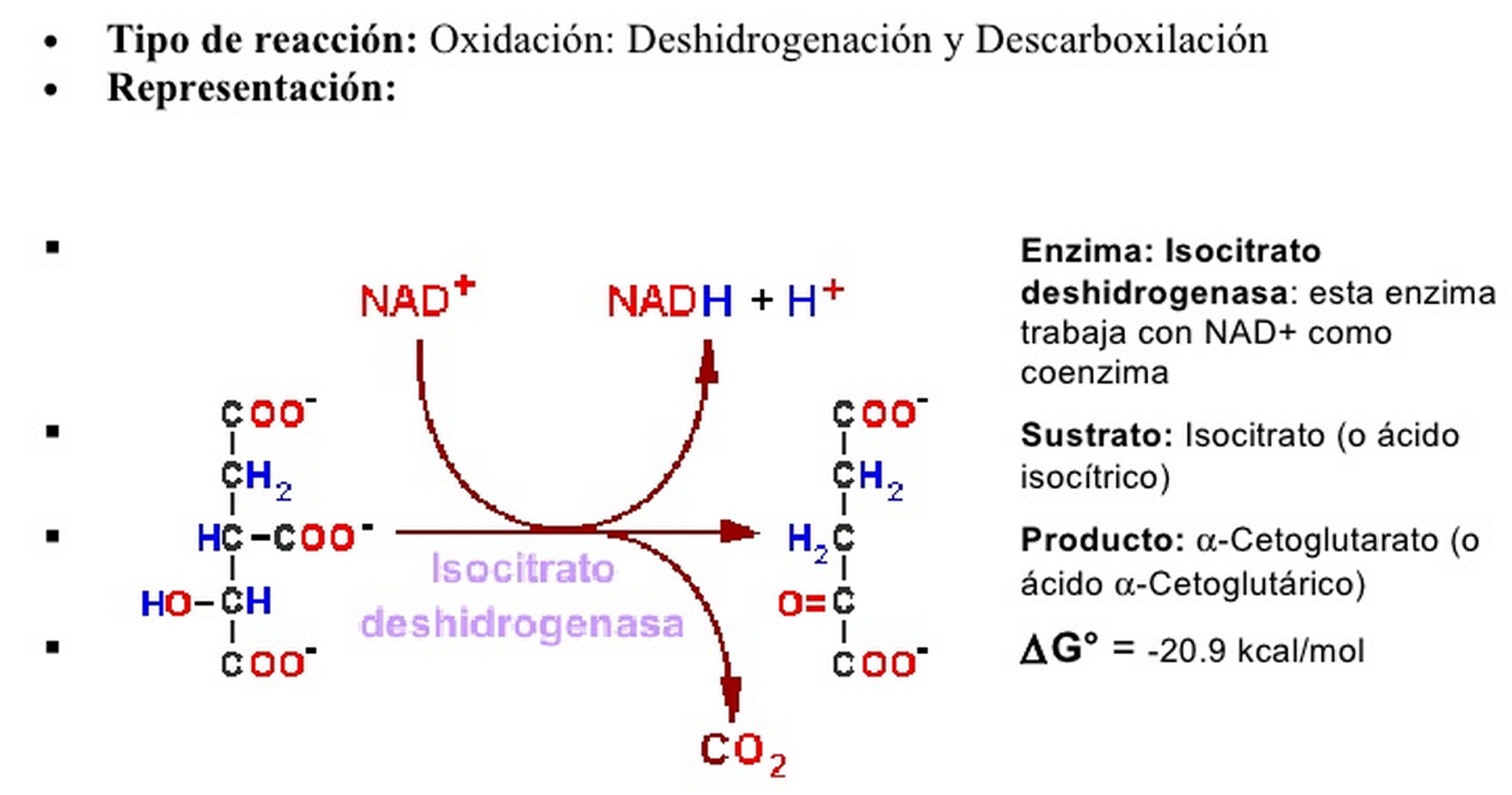 Oxidación a ALFA - CETOGLUTARATO