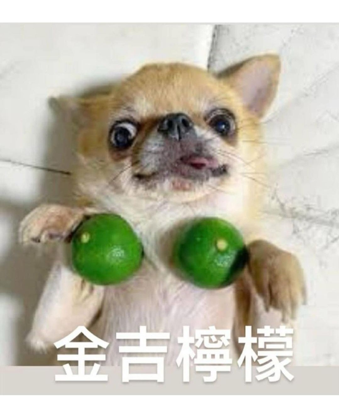 彗星