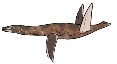 Umoonasaurus demoscyllus