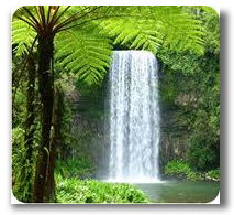 Recursos naturales renovables