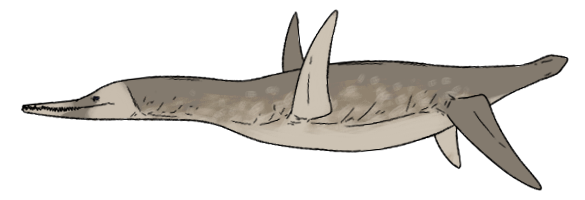 Dolichorhynchops osborni