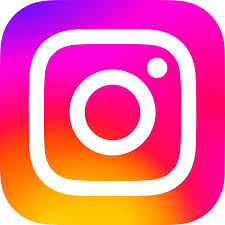 Instagram.com
Es otra red social donde solo se comparten fotos en perfiles de personas y organizaciones o videos cortos sobre