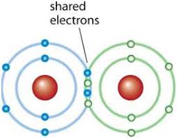Non-Polar Covalent Bond (ΔEN ≈ 0): Electrons are  shared equally