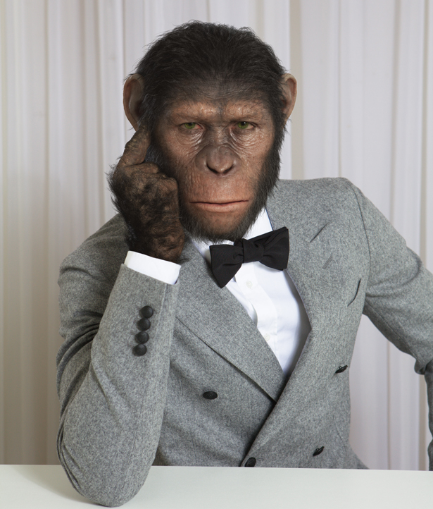 Chimpanzees