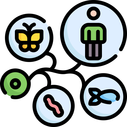Unit 4: Evolution