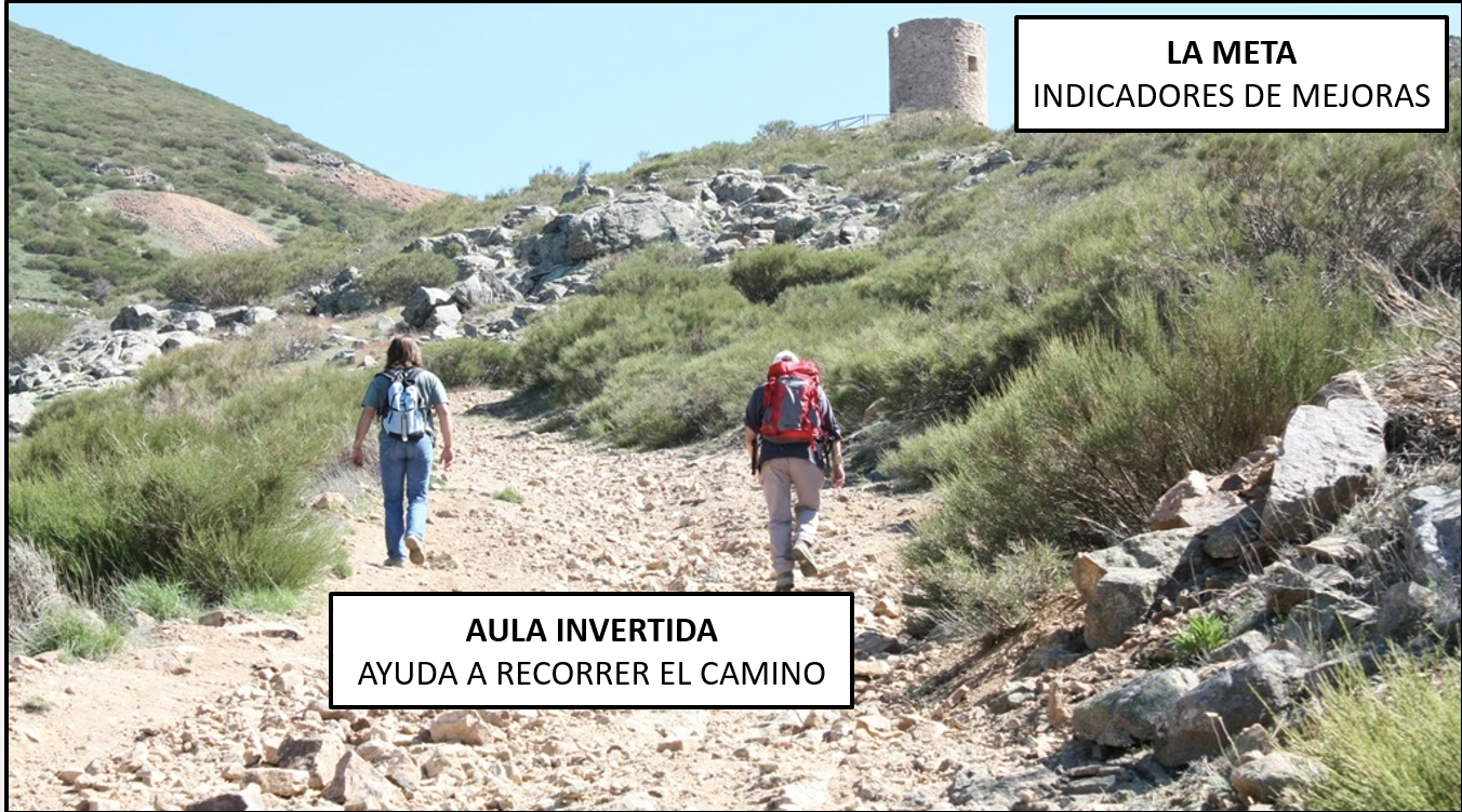 Indicadores