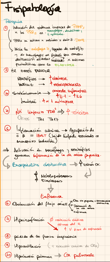 Fisiopatología