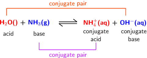 Conjugate ACID= the base AFTER the proton is  accepted/taken