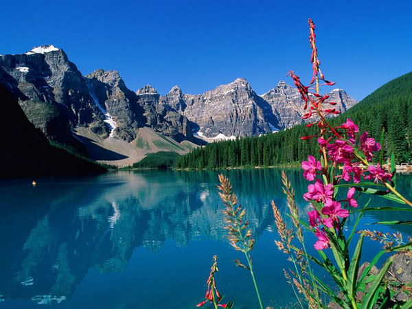 western cordillera