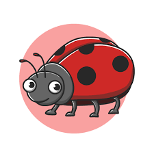 Insects