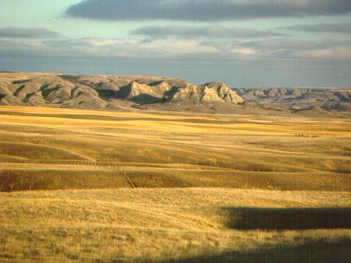 The Interior Plains