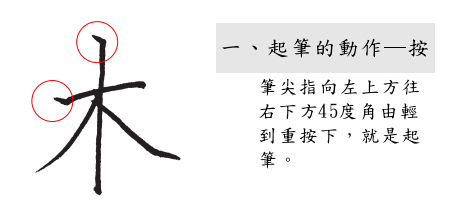 分支主題