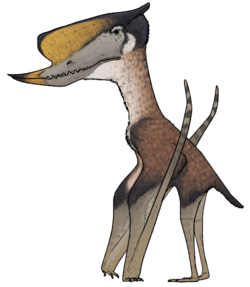 Dsungaripterus weii