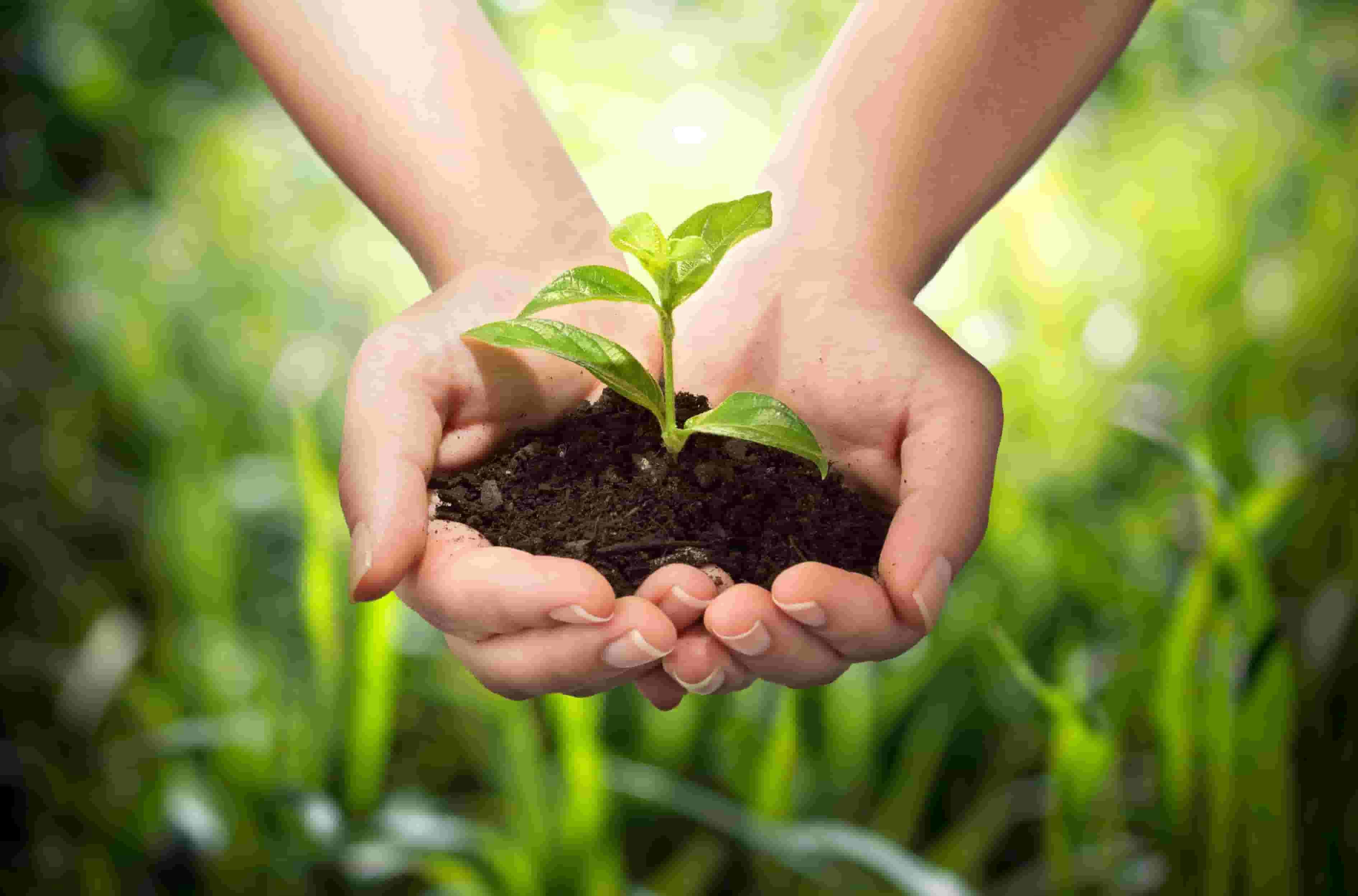 Agriculture
