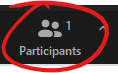 Click on Participants