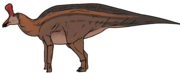Tsintaosaurus spinorhinus