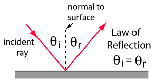 Law of Reflection
-When light bounces of plane (a flat reflective surface like a) mirror it states the angle of incidence is 