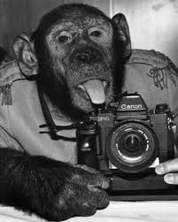 "A picture is worth a thousand words."

Pictures convey emotions and messages better than written or spoken explanations.