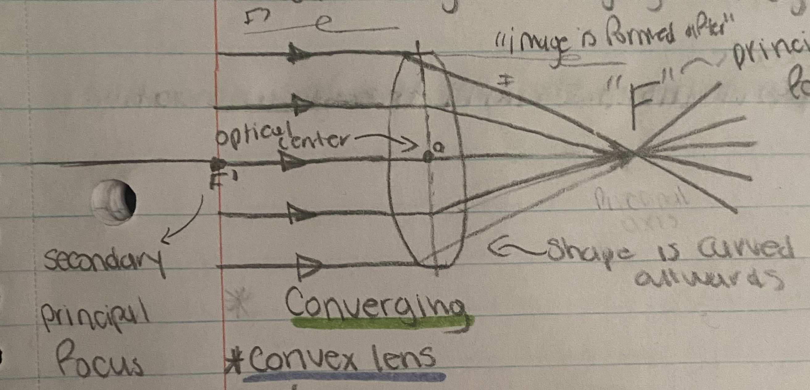 Convex lens causes parallel rays to converge at a focus point after refraction