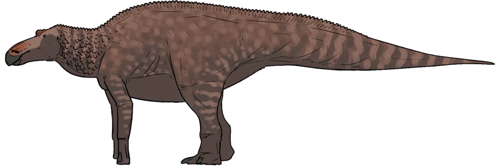 Edmontosaurus regalis