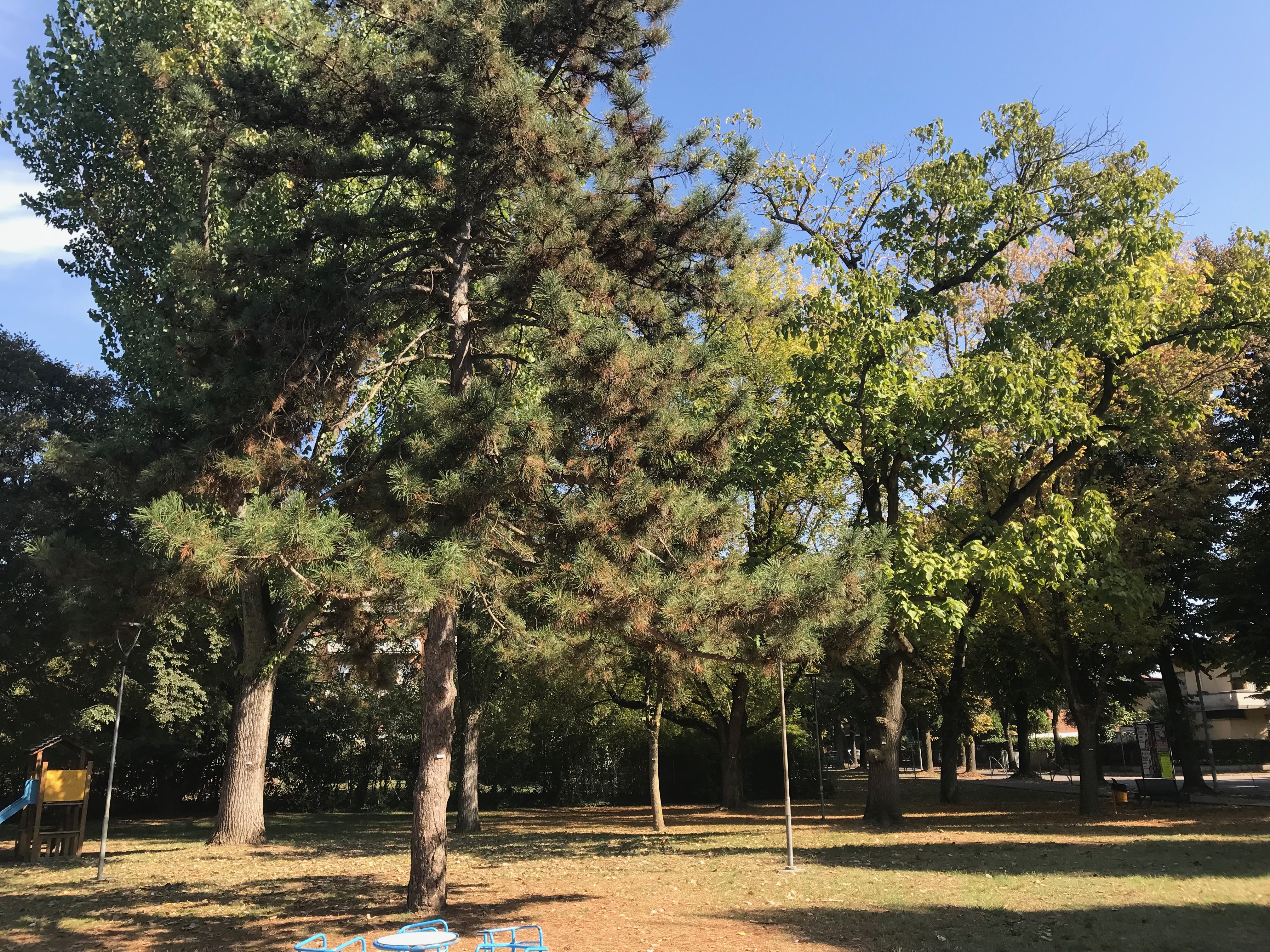 Al parco in autunno: cosa vedo?