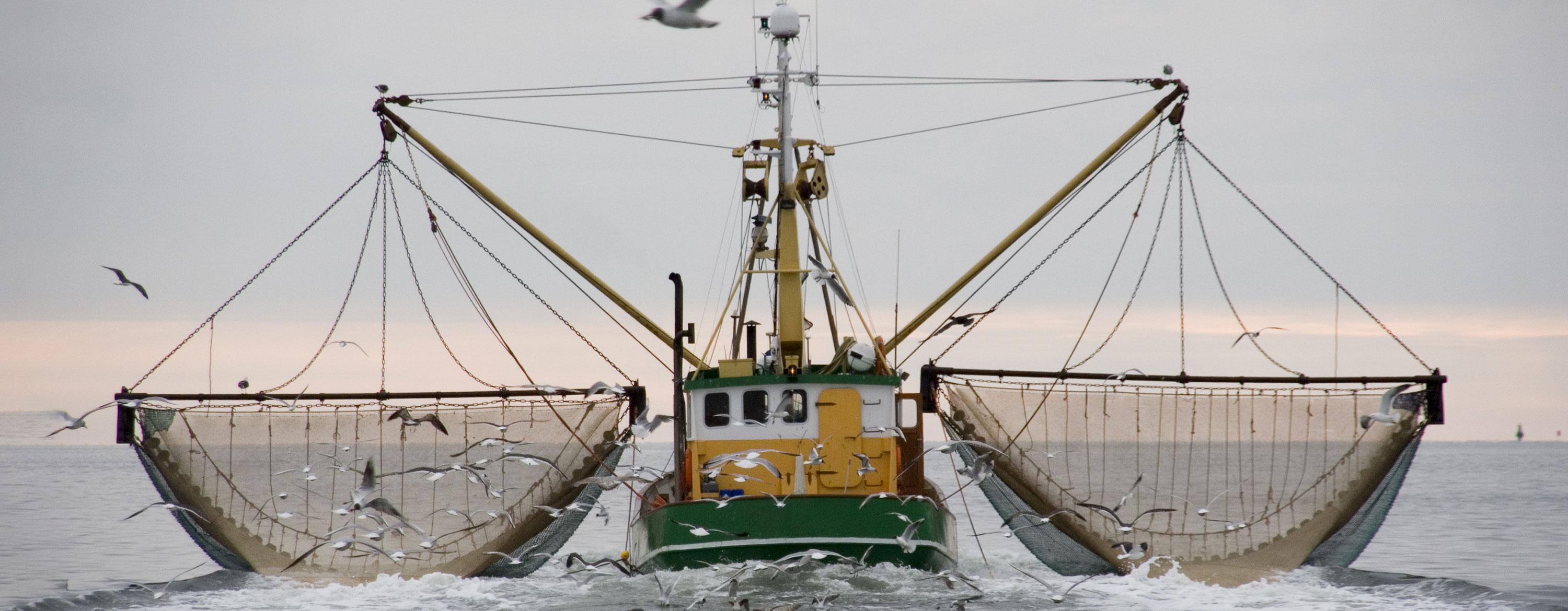 The main source for many Aboriginal people is fishing and they depend on it. They state that commercial fishing is using up t