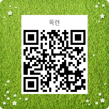 목련