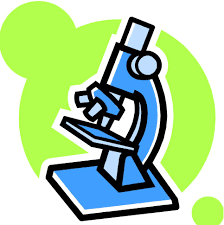 I had joined a science and innovation club in 9th grade for a while.