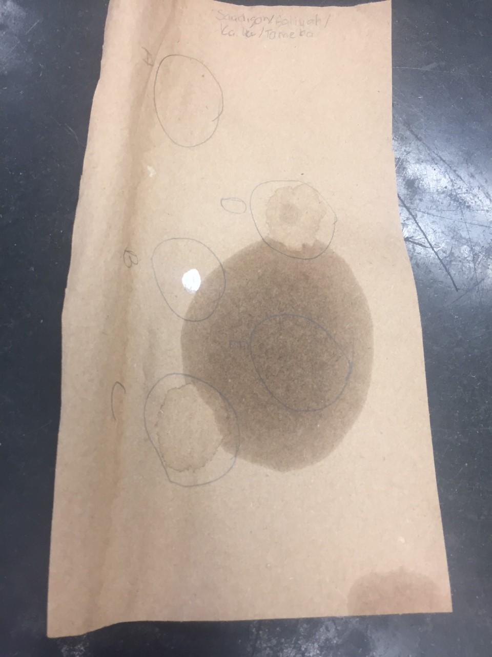 Paper bag test done in a lab in class. The grease indicates that the substance (peanut butter) was a lipid.