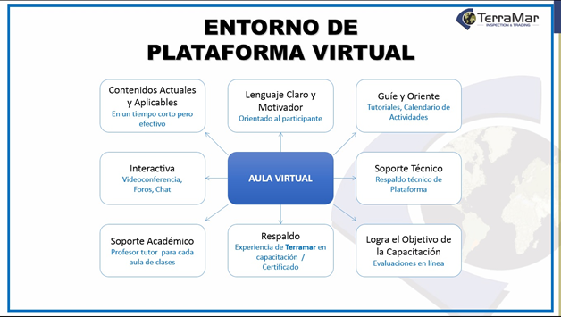 Visión de Plataforma Virtual