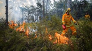 2019-20 Australian wildfire