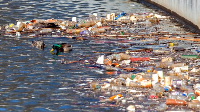 Types of pollution
