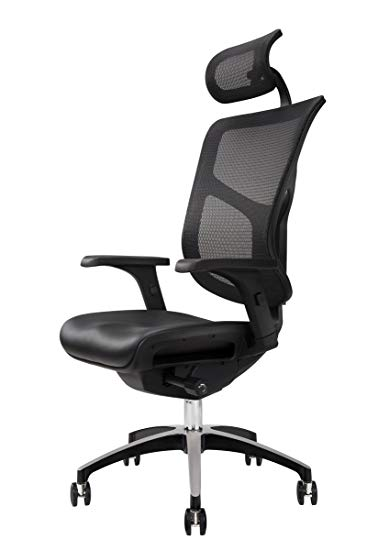 Ergonomic Chairs