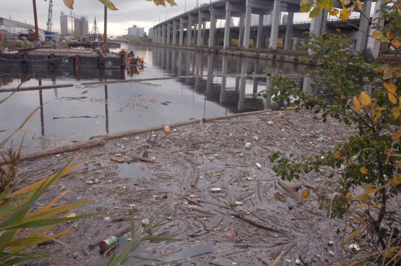 Pollution In The Great Lakes