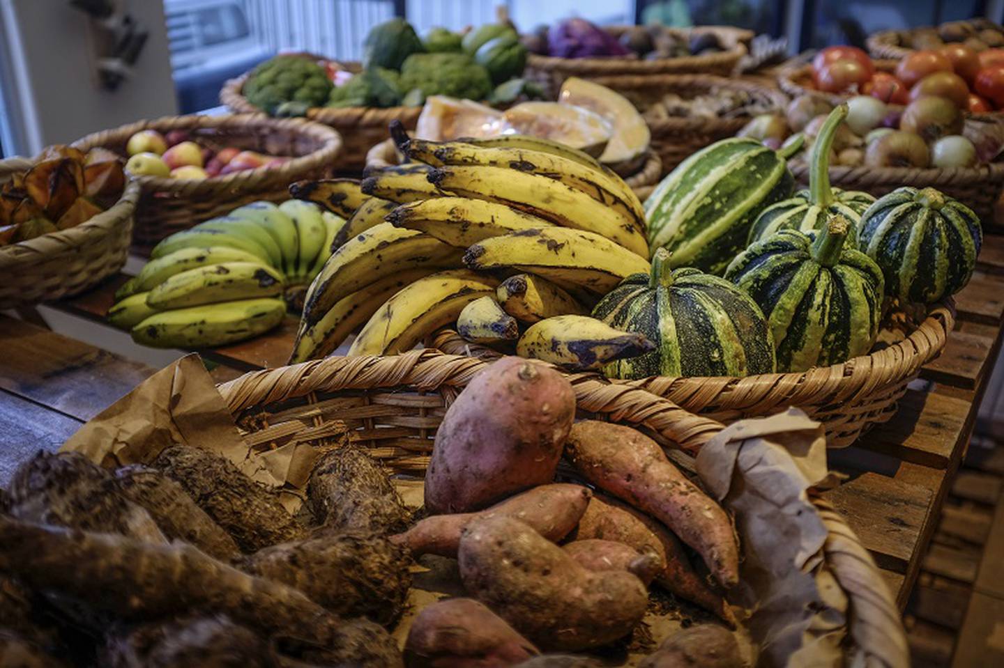 Cultivo de productos tradicionales 
. Ñame 
. Yuca 
. Aguacate
.café