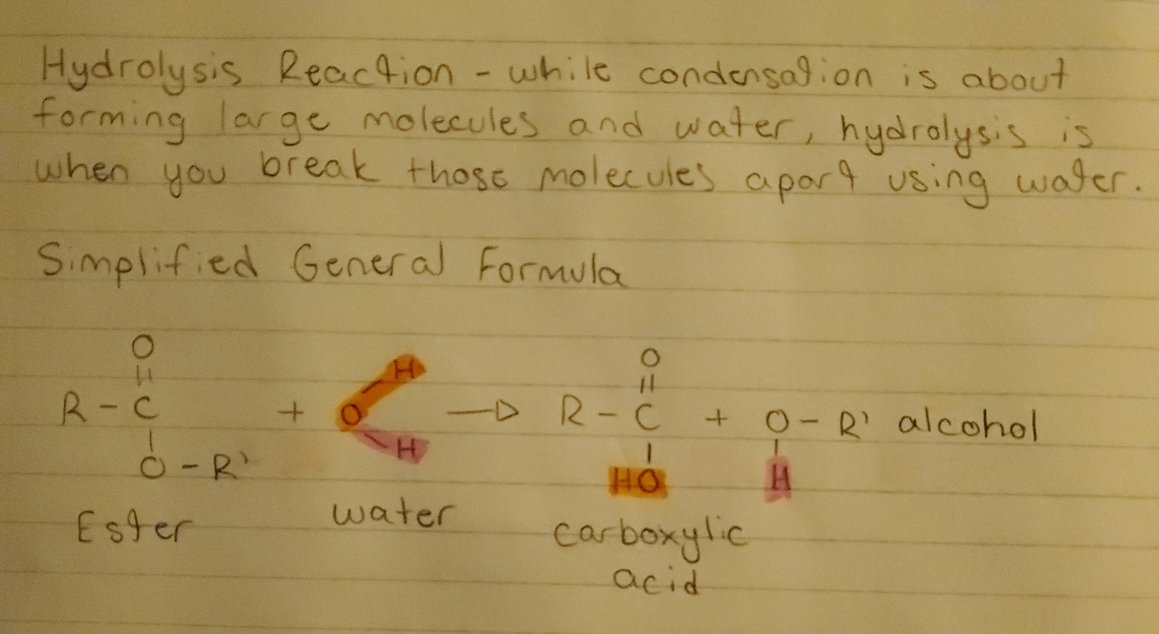 Hydrolysis