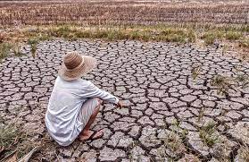 Natural disasters and/or inadequate environmental conditions for farming