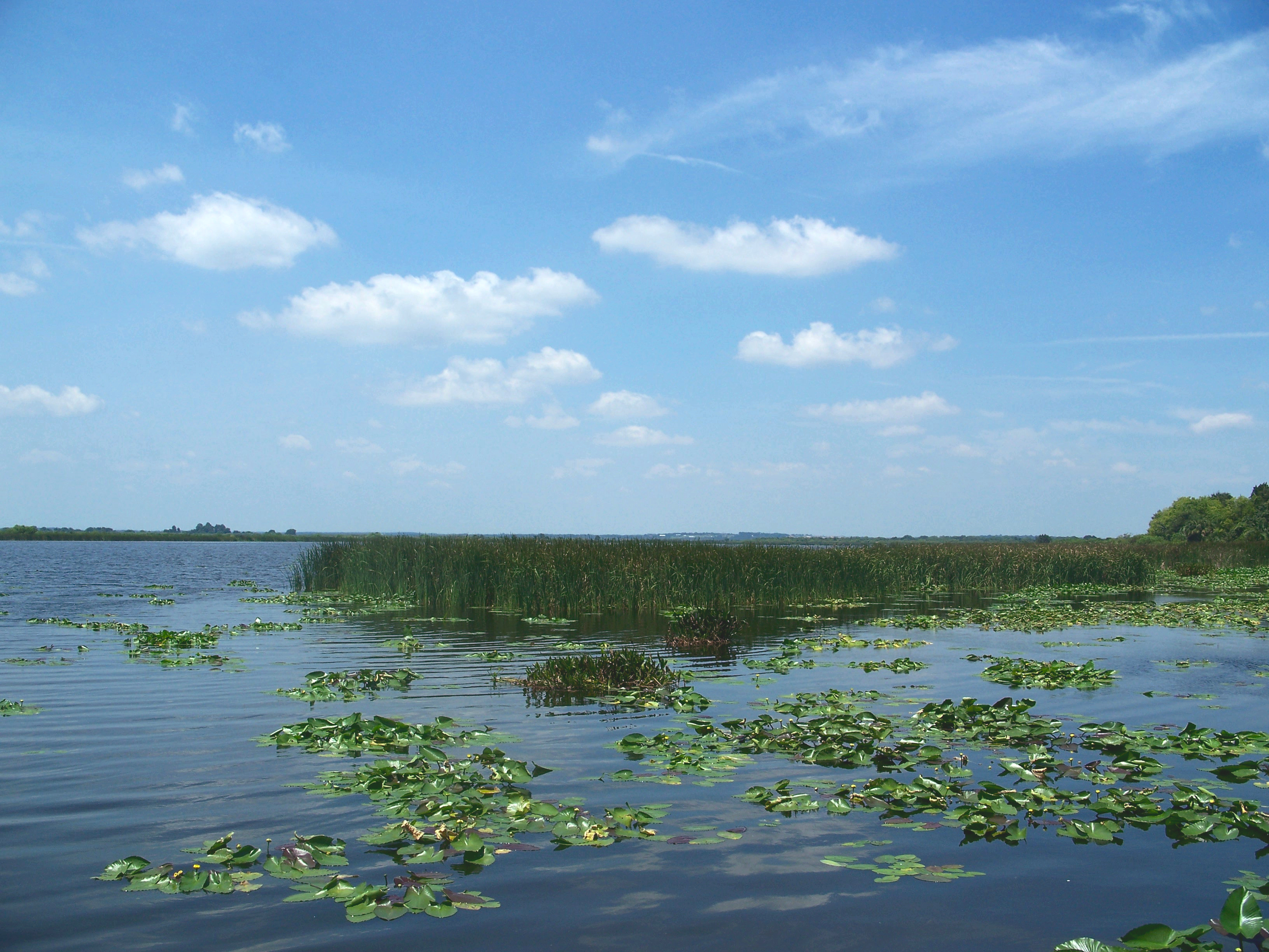 Small flat Islands